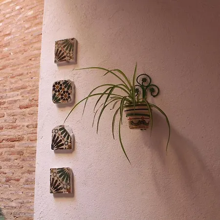 La Casa Toledana Estudio - Patio Y Artesonado *