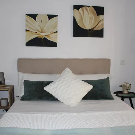 La Casa Toledana Estudio - Patio Y Artesonado *