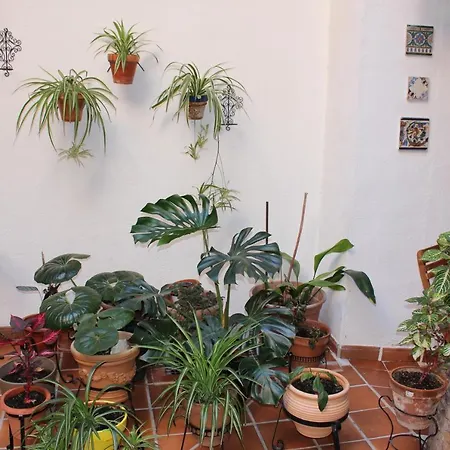 Apartamento La Casa Toledana Estudio - Patio Y Artesonado *