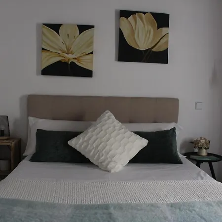 La Casa Toledana Estudio - Patio Y Artesonado * Toledo