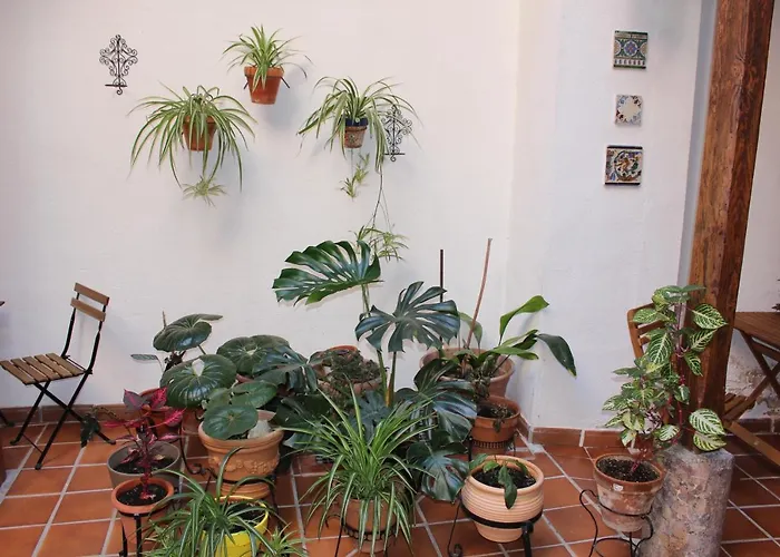 Appartement La Casa Toledana Estudio - Patio Y Artesonado *