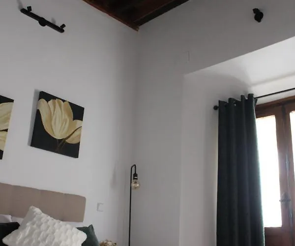 La Casa Toledana Estudio - Patio Y Artesonado *